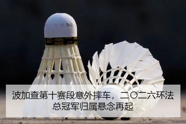 波加查第十赛段意外摔车，二〇二六环法总冠军归属悬念再起